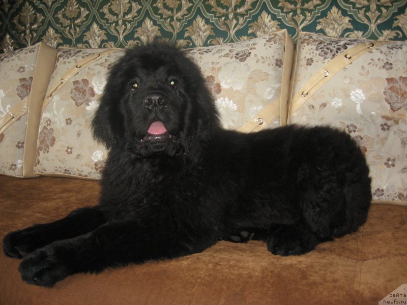 Фото: Кристина Есина