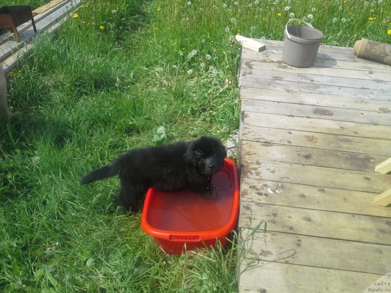 Фото: Ирвин