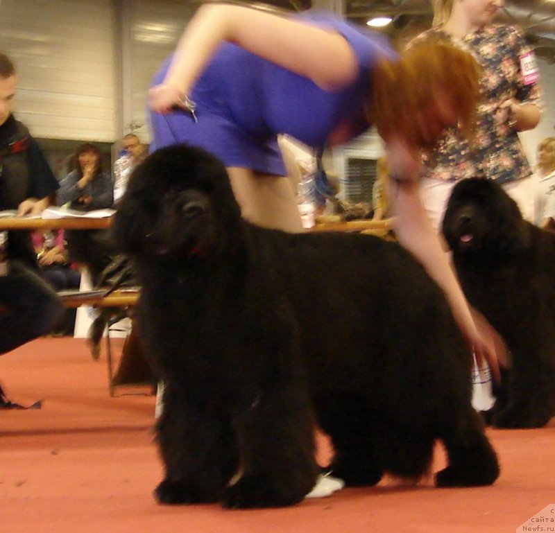 Фотография № 126525