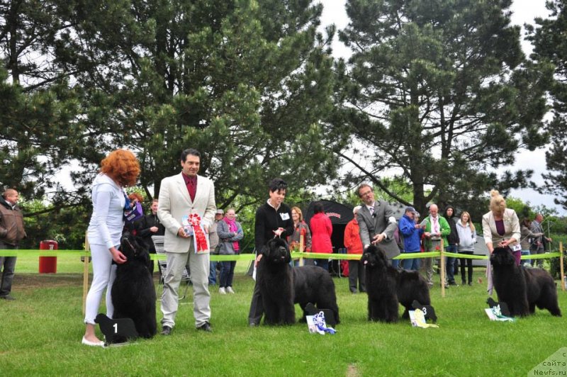 Фотография № 126527