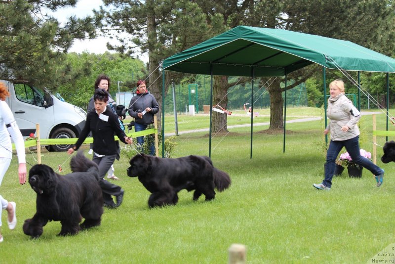 Фотография № 126528