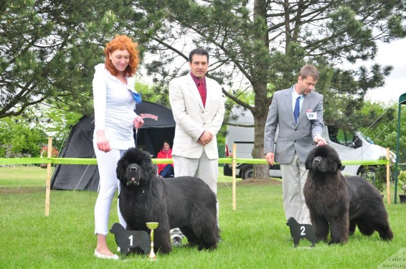 Фотография № 126529