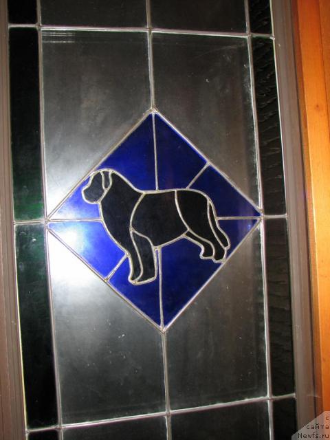 Фотография № 12653