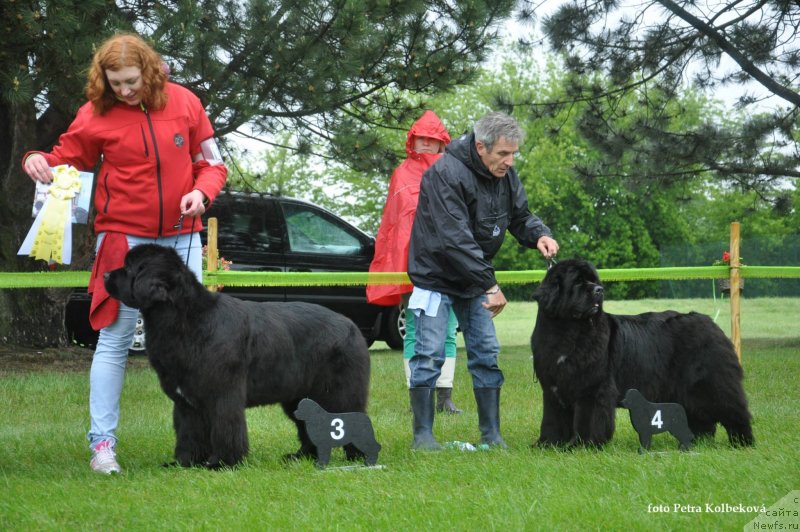 Фотография № 126535