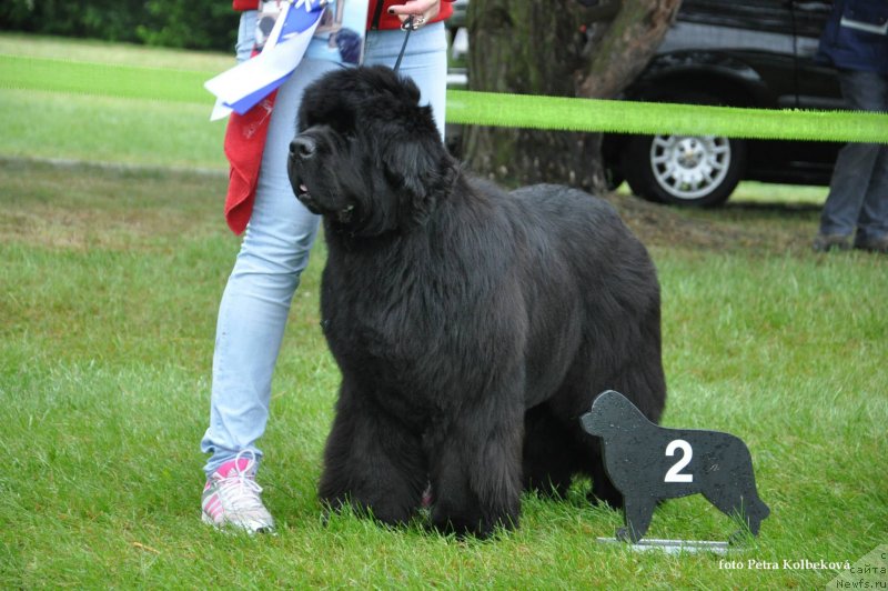 Фотография № 126537