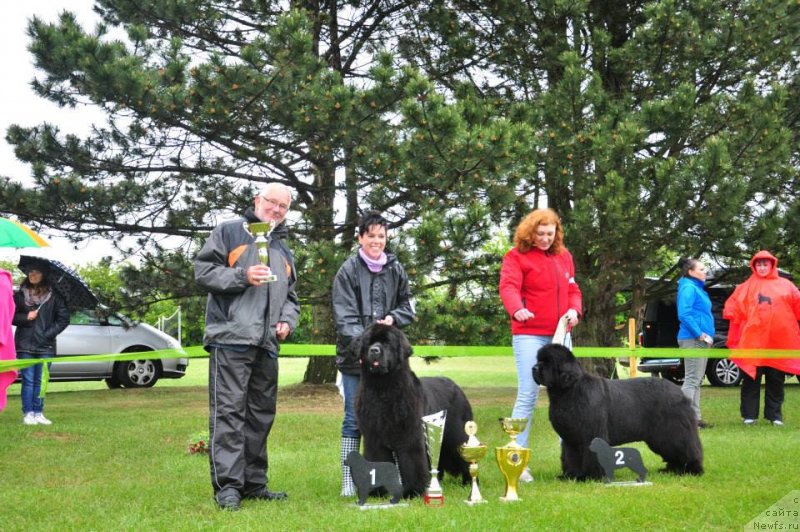 Фотография № 126538