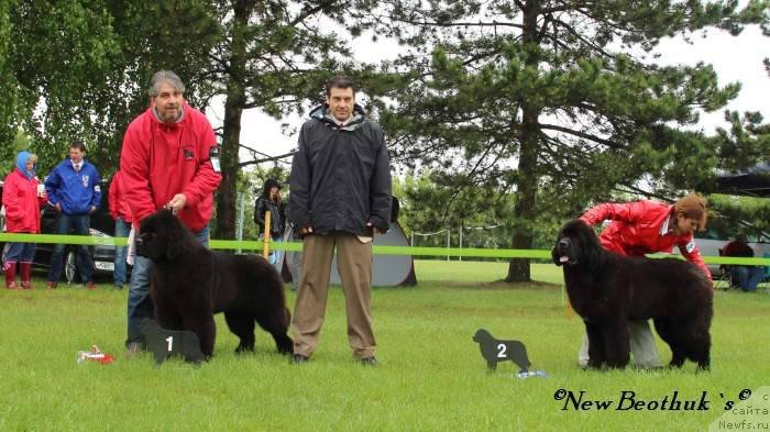 Фотография № 126539