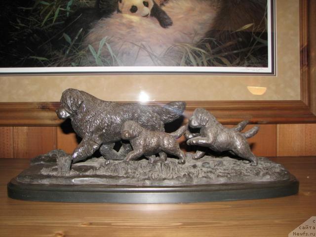 Фотография № 12655