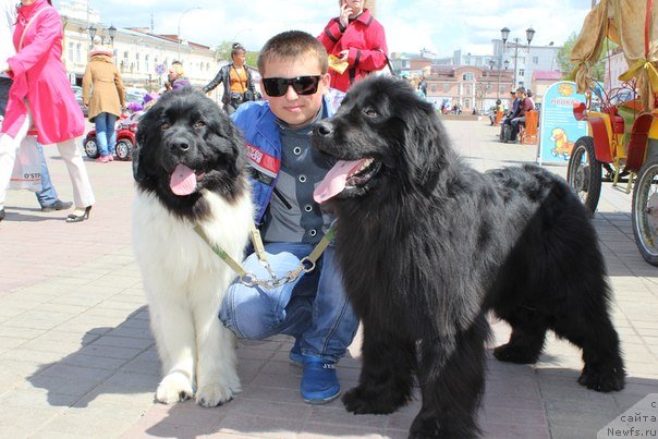 Фотография № 126556