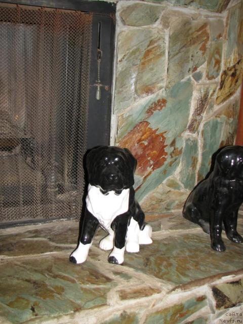 Фотография № 12656