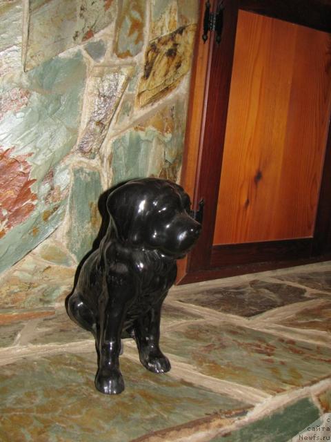 Фотография № 12657