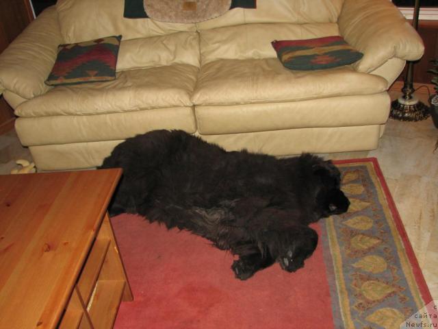 Фотография № 12658