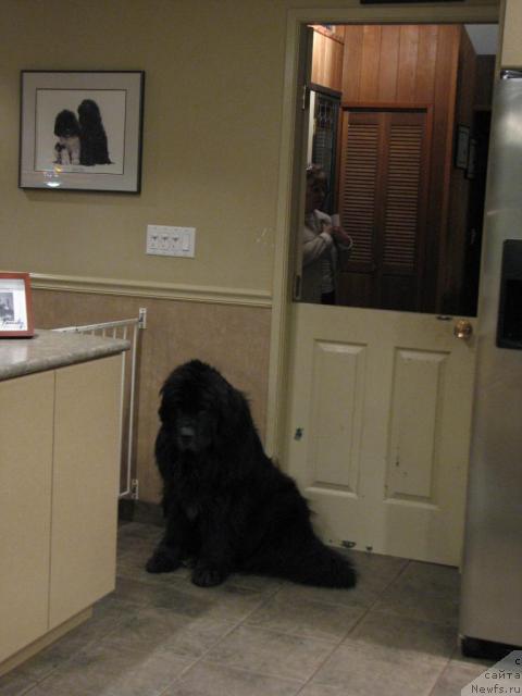 Фотография № 12659