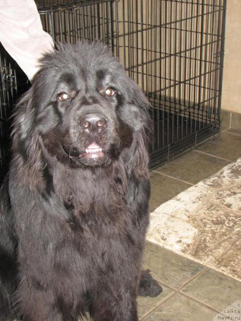 Фотография № 12660