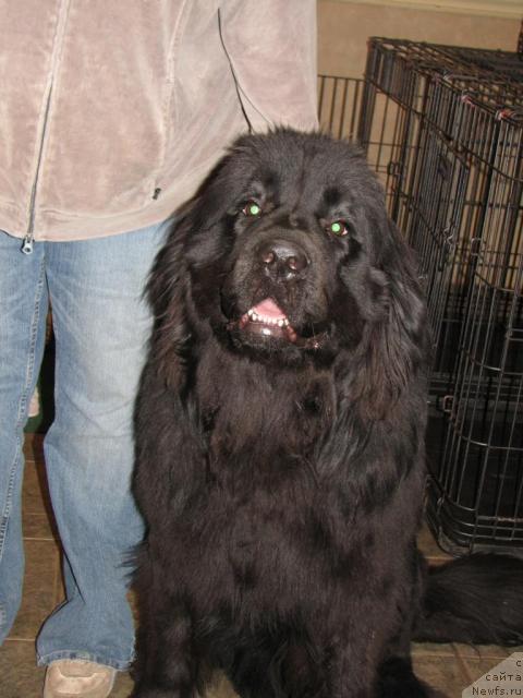 Фотография № 12662