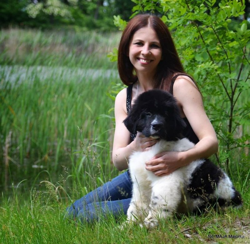 Фотография № 126656