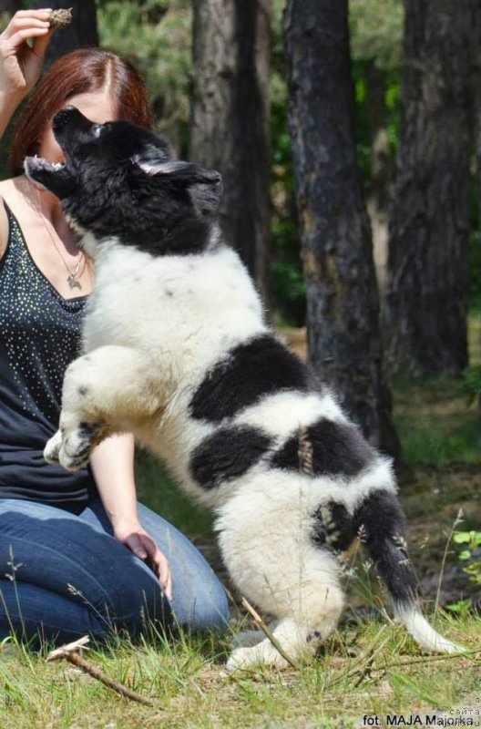 Фотография № 126657