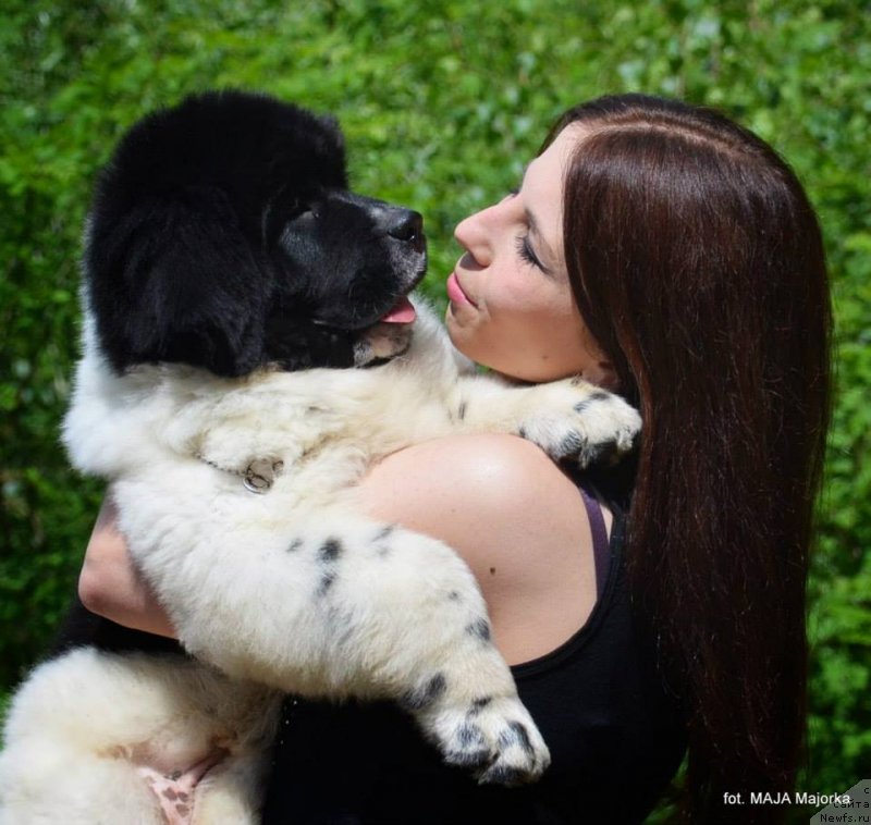 Фотография № 126688