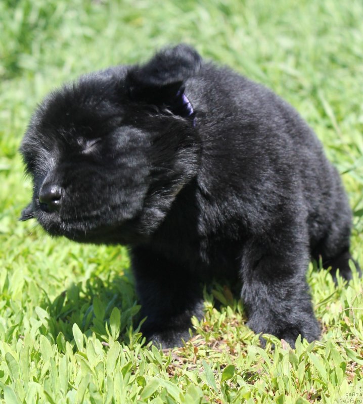 Фотография № 126722