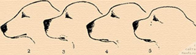 Фотография № 12673