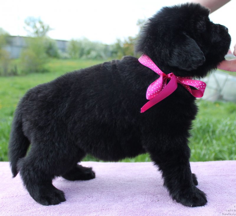 Фотография № 126734