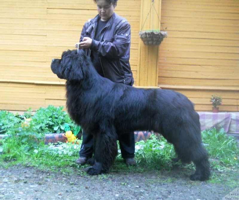 Фотография № 126738