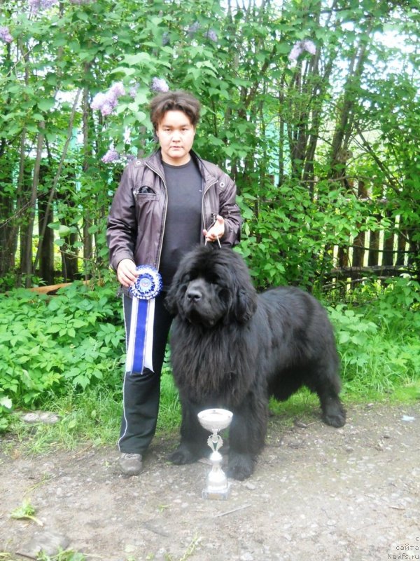 Фотография № 126739