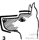 Фотография № 12674