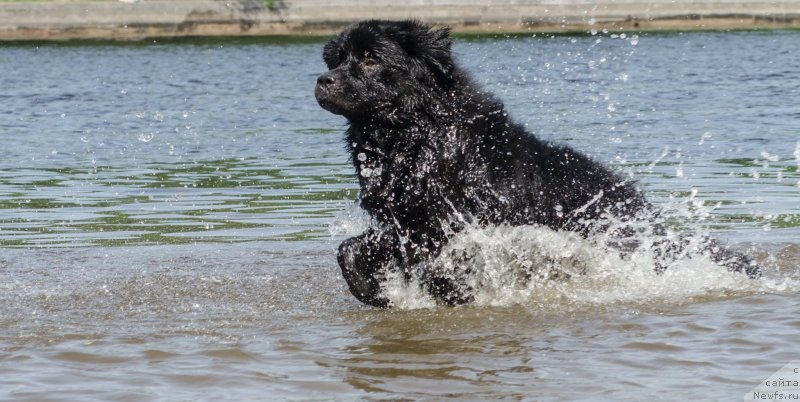 Фотография № 126740