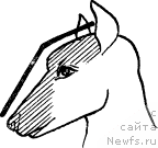 Фотография № 12675