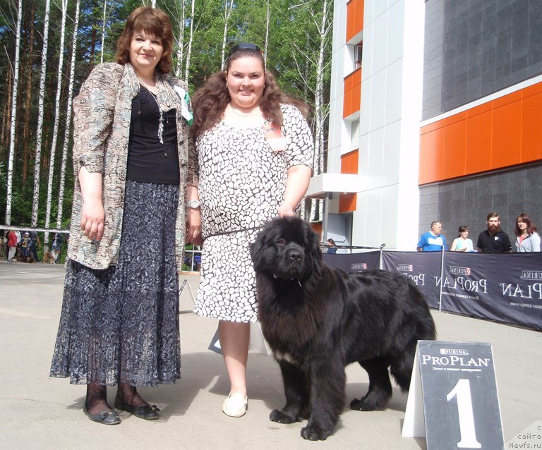 Фото: ньюфаундленд Блэк Диамонд Агидель от Потапа Увертюра, Екатерина Жиронкина