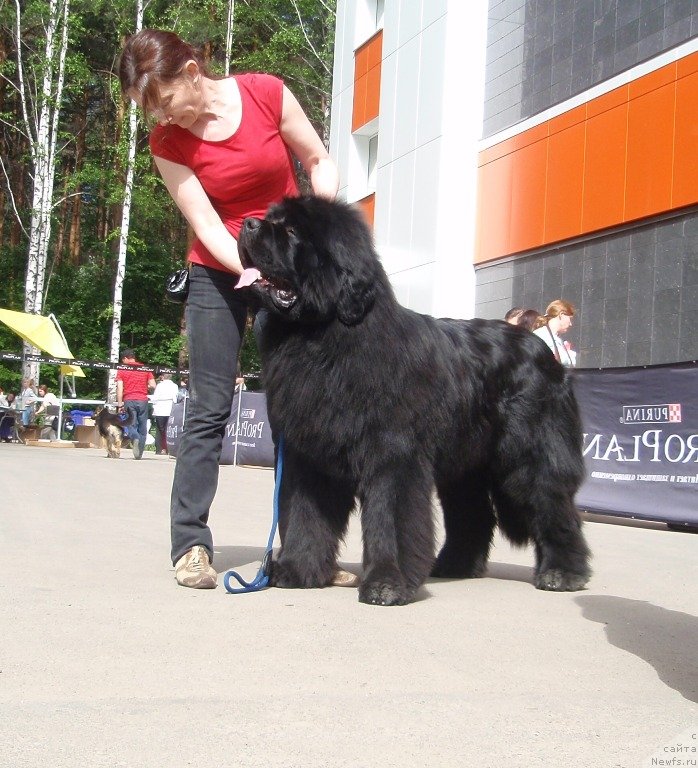 Фотография № 126832