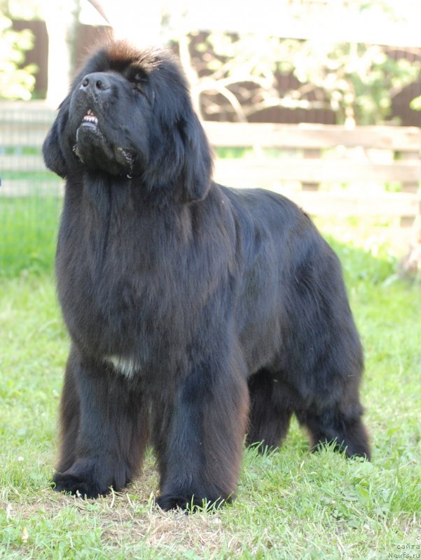 Фотография № 126904