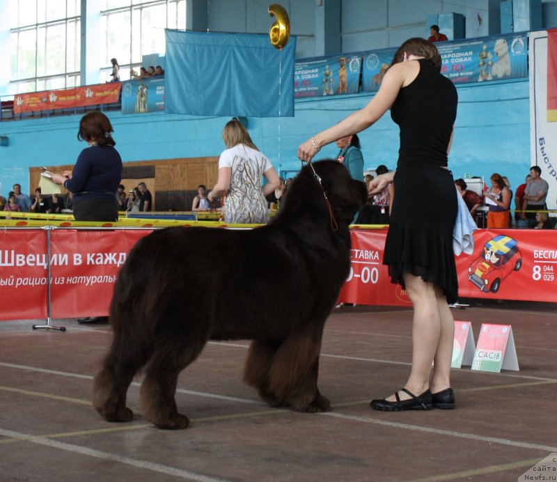 Фотография № 126908