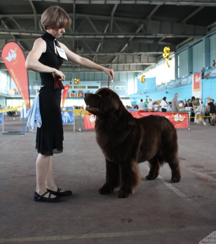 Фотография № 126913