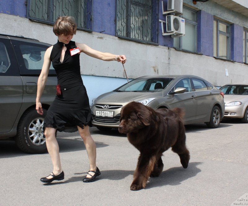 Фотография № 126914