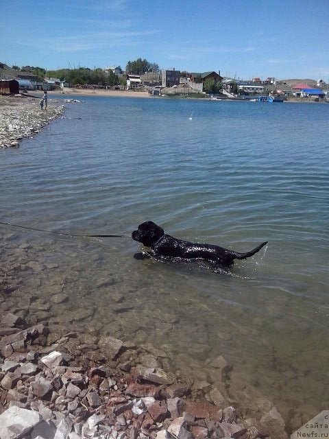 Фотография № 126936