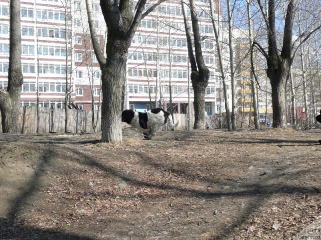 Фотография № 12694