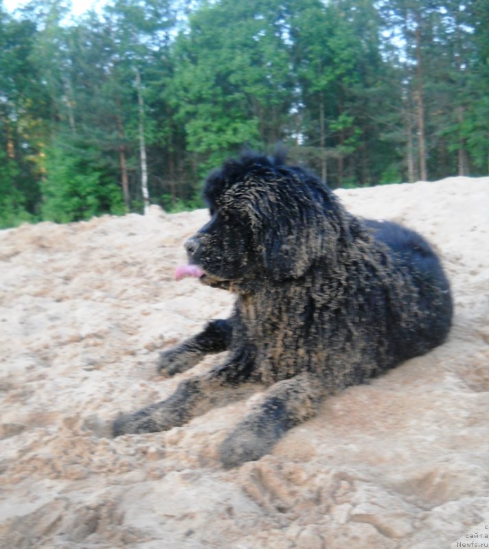 Фотография № 127130