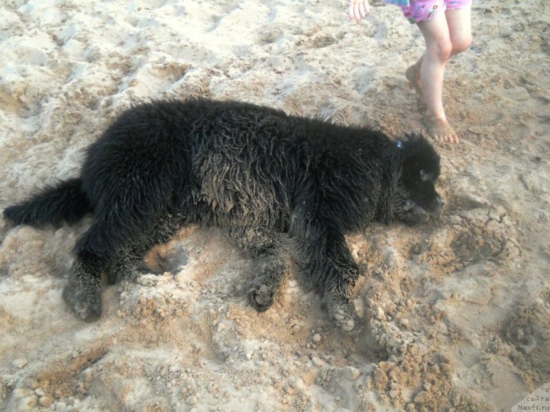 Фотография № 127131