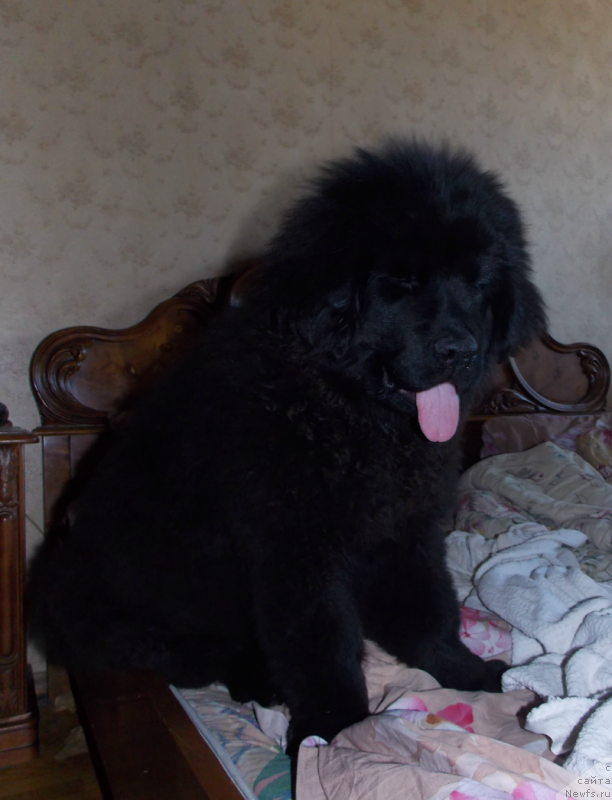 Фотография № 127136