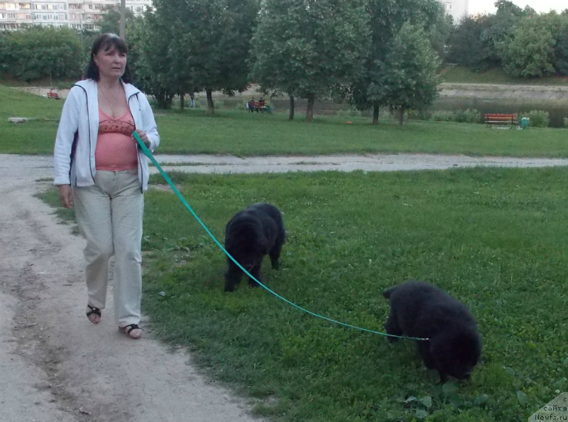 Фотография № 127141