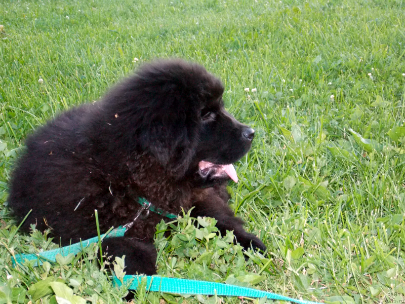 Фотография № 127144