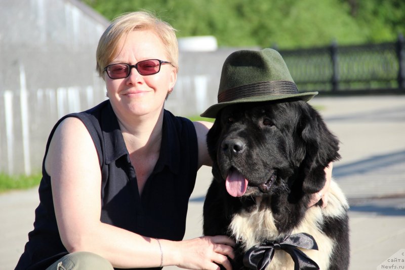 Фото: ньюфаундленд Старбимовлав Гардемарин