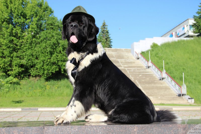 Фотография № 127173