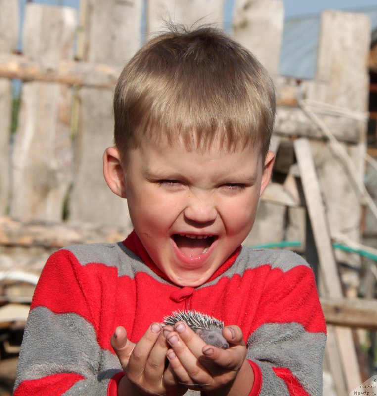 Фотография № 127179