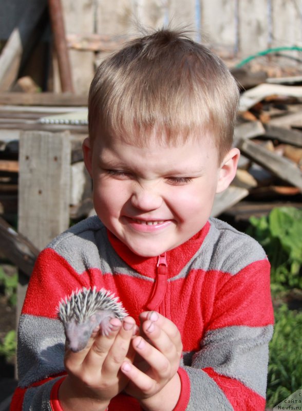 Фотография № 127180