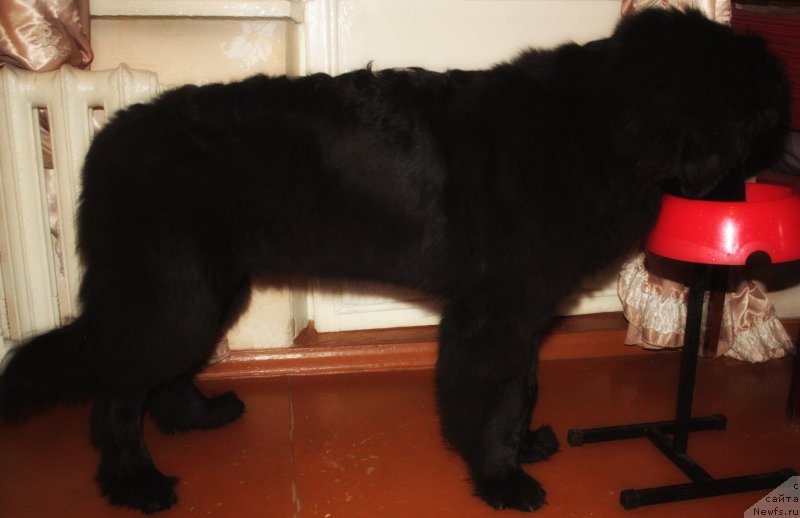 Фотография № 127181