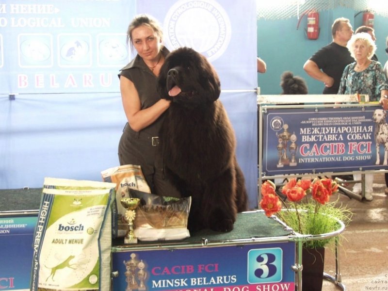 Фотография № 127211