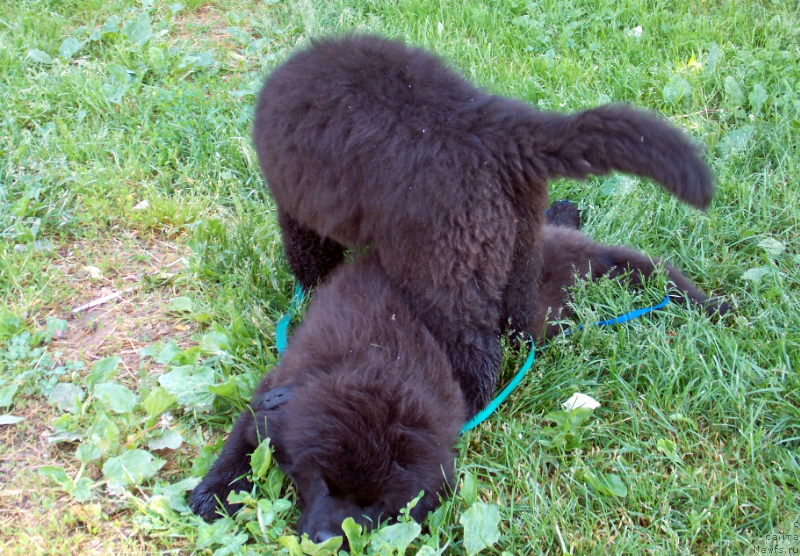 Фотография № 127227